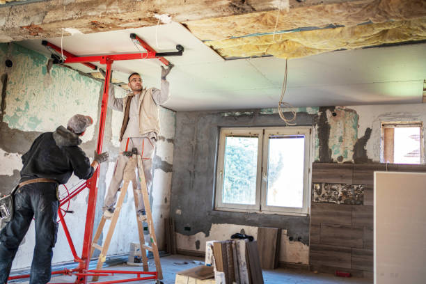 Best Residential Insulation in Lewisville, NC