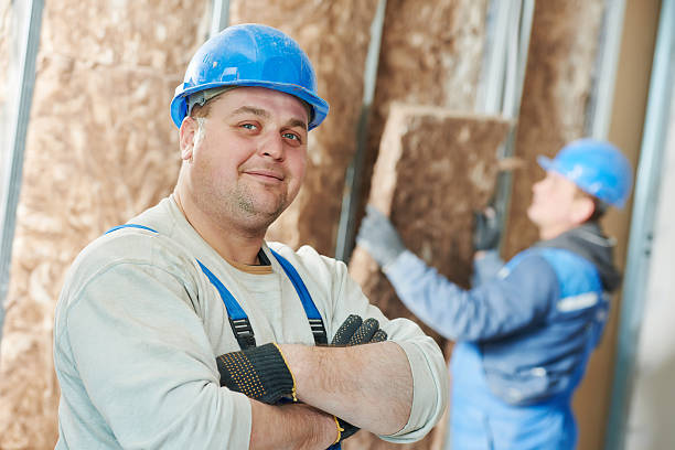 Best Insulation Materials and Products in Lewisville, NC